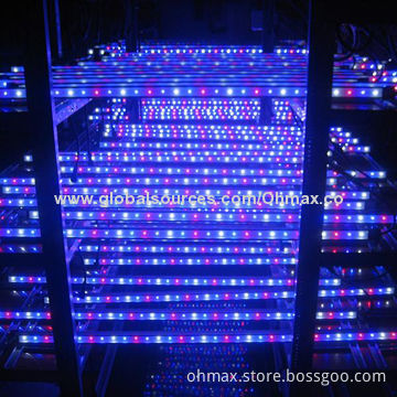 R/B/W Waterproof LED Grow Lights for Commercial Growing with Hanger Sets